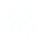 meduzabooks logo transp white 300